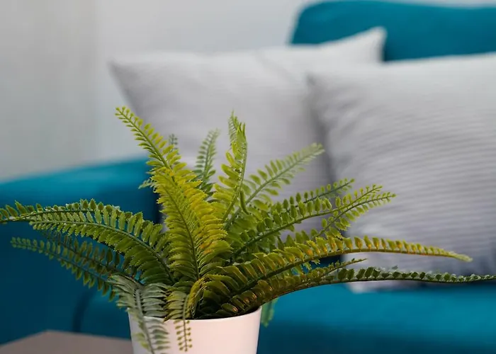 Gardenlux 아파트 브르드니크