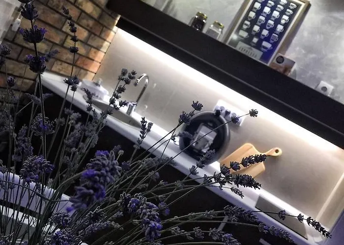 Gardenlux 아파트 브르드니크